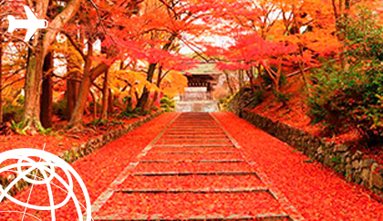 Japão Outono
